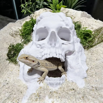 3D Printed Skull Cave Hiding Shelter,Fish Hiding Cave,Reptile and Amphibian Supplies,Habitat Décor and Aquarium Decoration