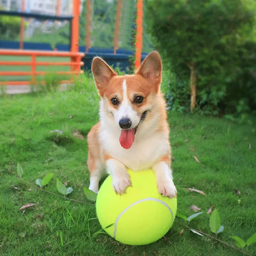 7/8/9.5Inch Dog Tennis Ball Giant Pet Toys for Dog Chewing Toy Signature Mega Jumbo Kids Ball Training Supplies Dropship Plush