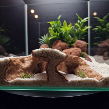 Fish Tank & Reptile Cave - Hiding Hole,Basking Spot & Terrain Divider,High-Low Aquascaping Viewing Cave for Reptiles & Fish