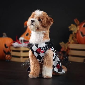 New Fun Dog Halloween Costume Pet Lace Hair Proof Dress Dog Clothes Gift Dog Dress