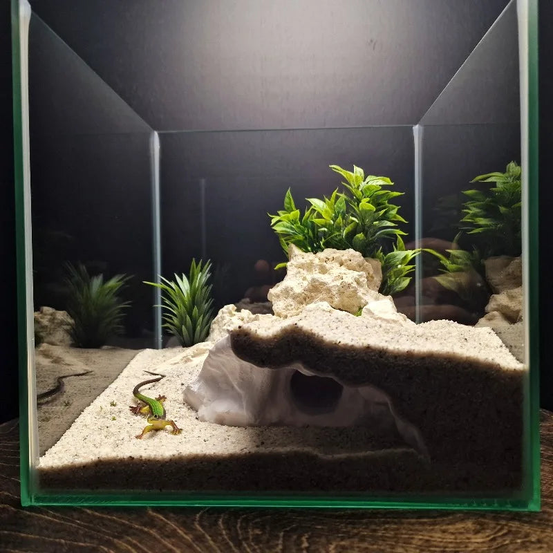 3D Printed Dual-Use Aquarium Reptile Tank Decor | Substrate Landscaping Tool & Deep Hide Cave for Small Fish Shrimp Turtles