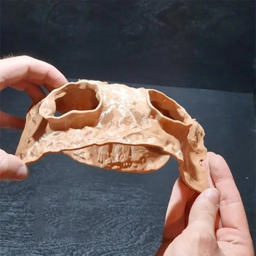 [JN] Fish Tank Underground Cave For Fish Shrimp Reptile Shelter Hiding Houses 3D Printing Tunnel Aquarium Decoration Landscape