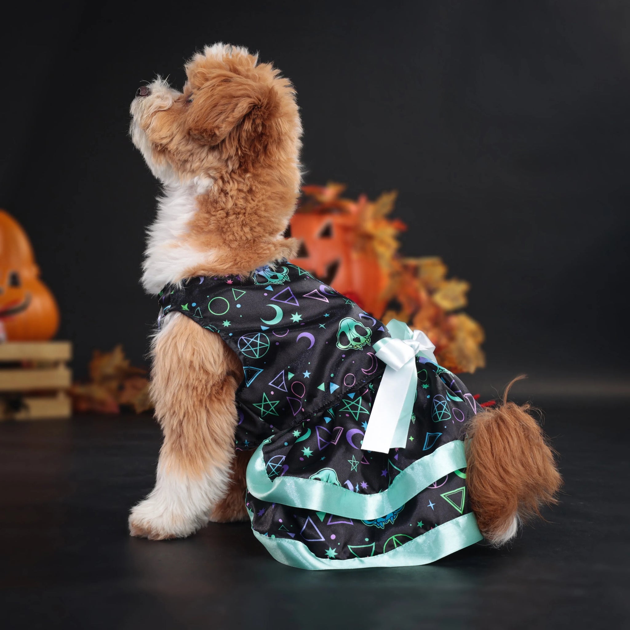 New Fun Dog Skeleton Halloween Costume Pet Lace Hair Proof Pumpkin Dress Dog Clothing Gift