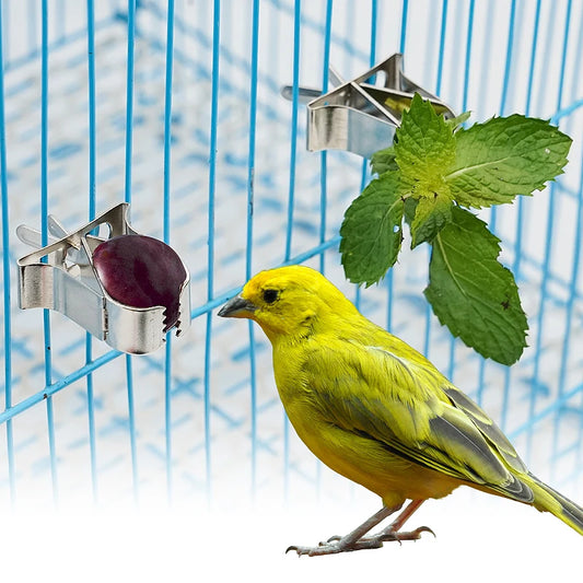 Birds Parrots Fruit Forks Food Holder Fruit Vegtable Clip Feeder Device Parrot Pet Bird Cage Accessory Pet Supplies 1-5Pcs