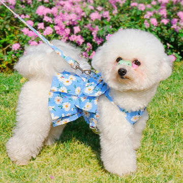 Pet leash dog cat clothes vest type traction clothes Teddy Bichon Go out walking dog leash pattern chest suspenders