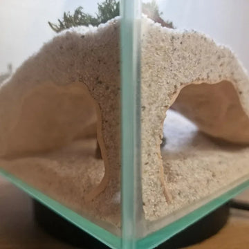 3D Printed PETG Fish Tank Underground Cave Shelter for Small Fish Shrimp Reptile Hidding Resting, Aquarium Decorations Ornaments
