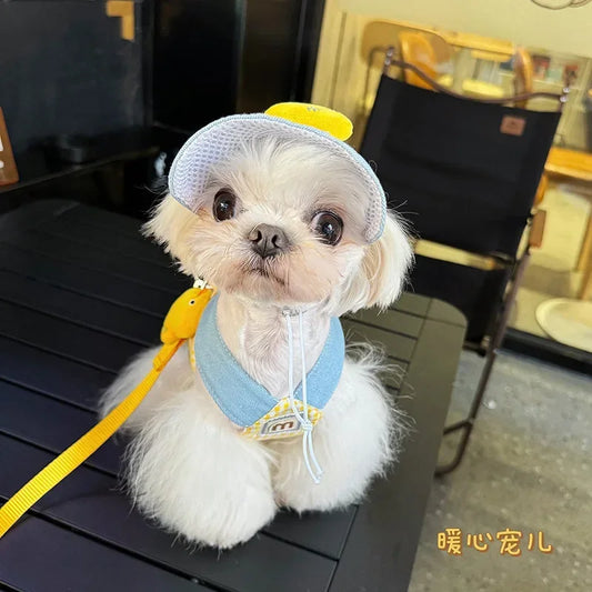 Spring/Summer Pet Wire Rope Pulling Rope Cute Hat Three Piece Cat Clothes Outgoing Pulling Set Dog Harness and Leash Set