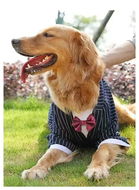 Tuxedo for Dogs Stripe Big Dog Suit Wedding Golden Retriever Husky Large Dog Clothes