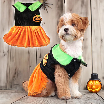 Halloween Dog Clothing Pet Clothing Dog Cat Pumpkin Dress Halloween Party Supplies