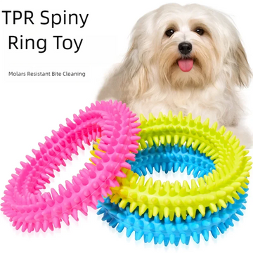 Pet Chew Toy Soft Rubber Bite-resistance Bone Shape Teeth Grinding Chewing Toys for Small Dogs Training Pet Supplies