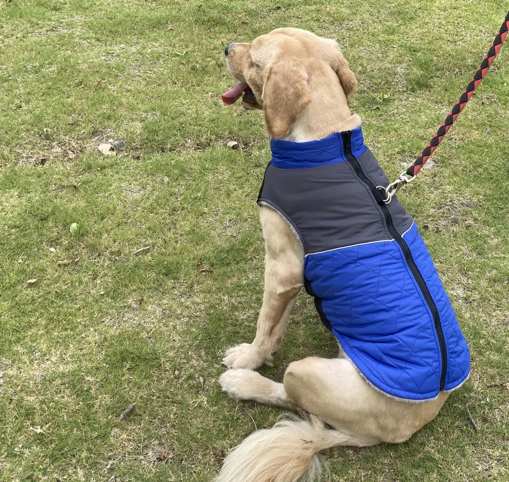 Winter Dog Jackets Windproof Waterproof Pet Clothes for Big Dog Vest Coat Medium Large Dogs Clothes Pet Outfit