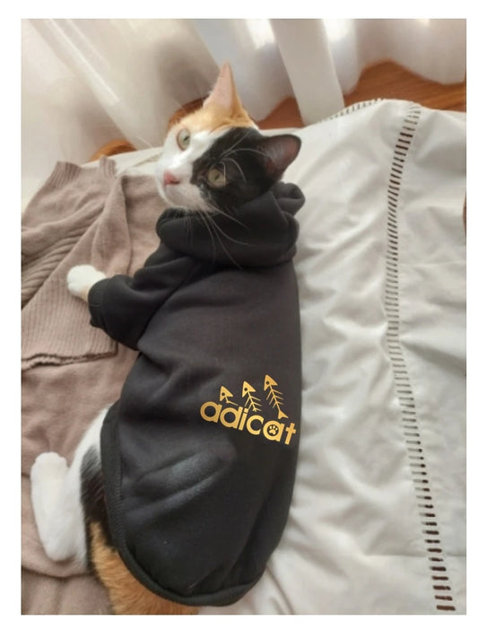 fashion cat cool clothes autumn winter puppy kitty letter printed  hoodies accesorios kitten clothes jumper designer cat outfits