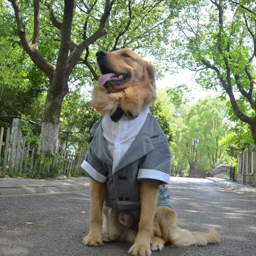 Formal Tuxedo Suit with Black Bow Tie for Dogs, Pet Costume, Wedding Clothes, Large, Medium, Small Dogs, Cat