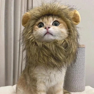 Cat Cosplay Dress Up Pet Hat Lion Mane for Cat Puppy Lion Wig Costume Party Decoration Halloween Christmas GatosPet Supplies