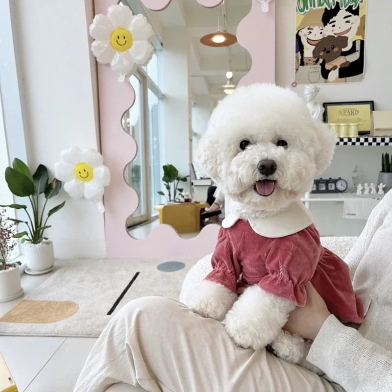 Fashion Winte Warm Pet Dog Clothes Puppy Princess Dress Teddy Corduroy Dress Pomeranian Maltese Warm Clothing for Female Dogs