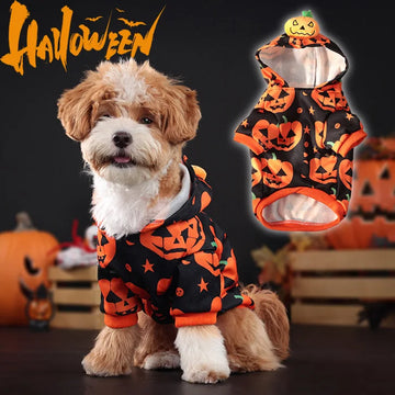 Dog, Cat, Pumpkin Hoodie Halloween Party Pet Clothing