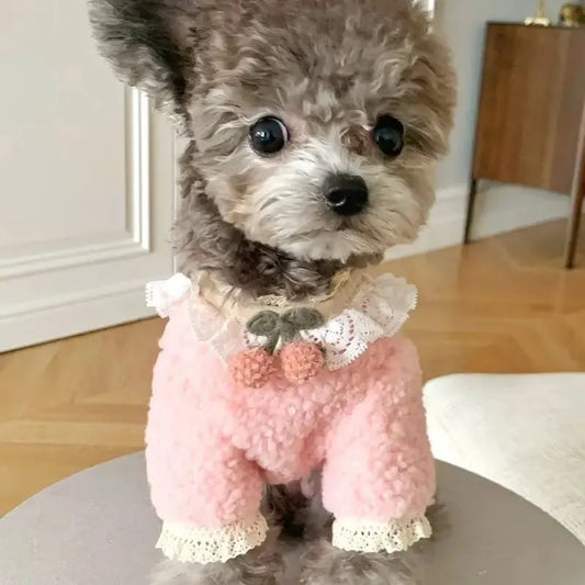 Pet Sweater Petal Cream Teddy Plush Sweater Bear Yorkshire Set Autumn/Winter Coat Puppy Clothes Dog Clothes for Small Dogs