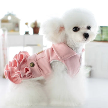 Autumn and Winter Pet Multi Layer Velvet Set Skirt Warm Clothes Four Legged Woolen Coat Winter Clothes Puppy Pet Couple Outfit