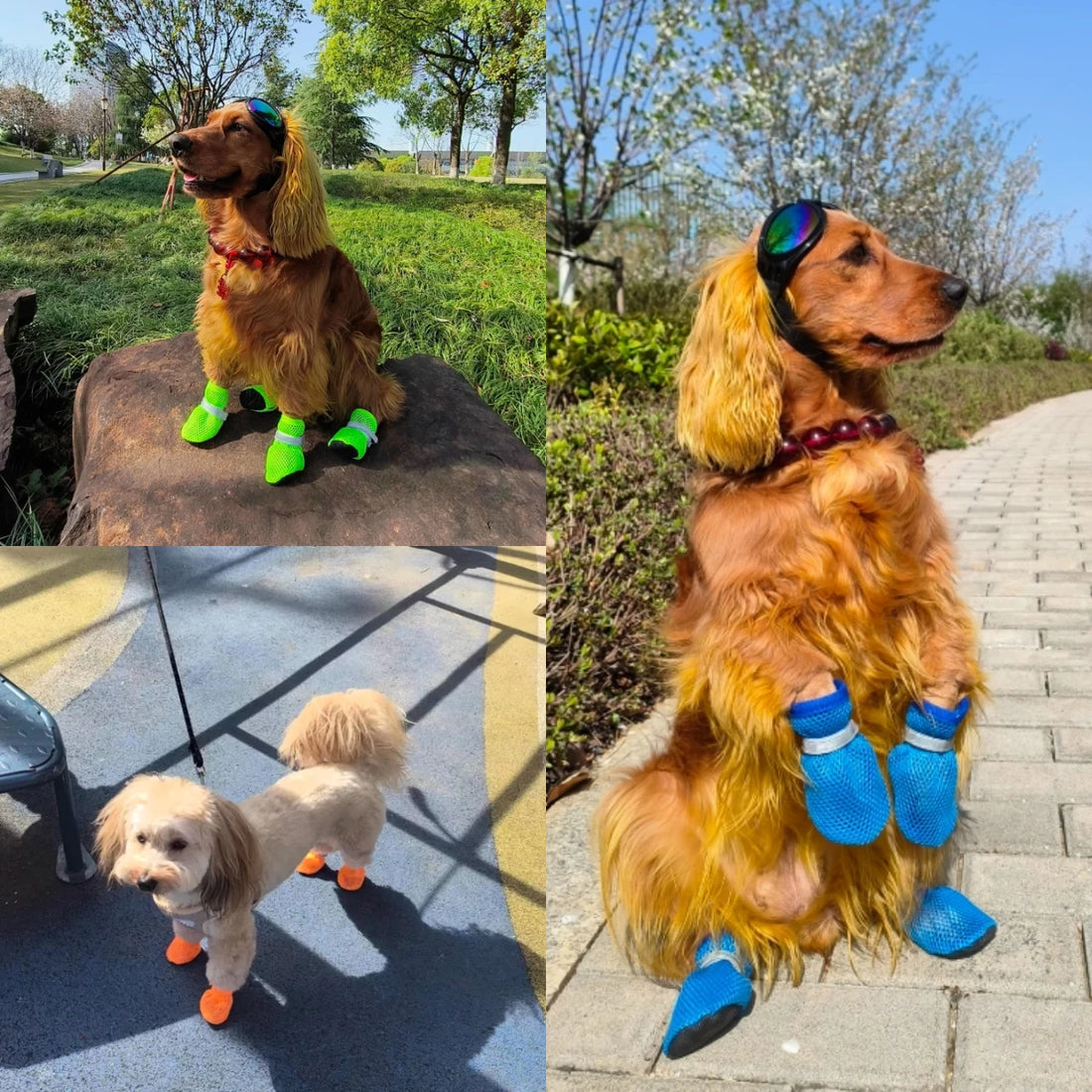 4PCS Summer Dog Shoes Breathable Anti-Slip Wear-Resistant Dog Outdoor Boots for Small Medium Dogs Cats Puppy Pet Accessories