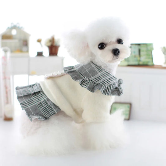 Pet Dog Winter Outfit Suit Cat Skirt Teddy Bear New Winter Pet Couple Outfit Puppy Clothes Designer Dog Clothes for Small Dogs