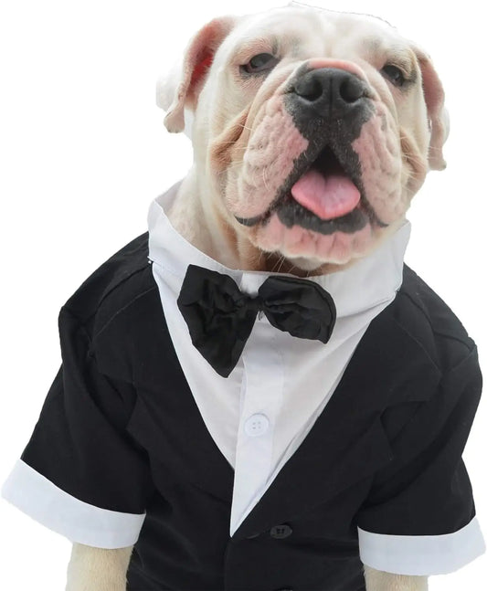 Formal Tuxedo Suit with Black Bow Tie for Dogs, Pet Costume, Wedding Clothes, Large, Medium, Small Dogs, Cat