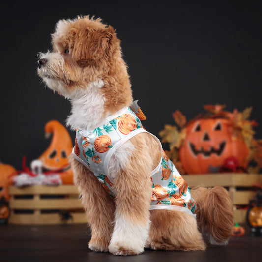 New Fun Dog Halloween Costume Pet Dress Dog Clothes Gifts