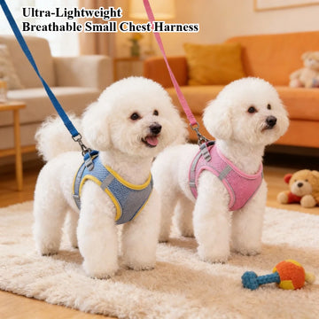 Harness for a Dog Harness Guard Harnesses for Dogs Pet Puppy Big the Small Breed Medium Anatomical Large Breeds Goods Product