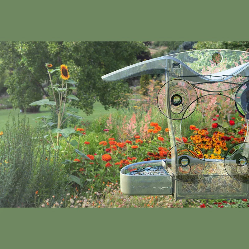 Window Bird Feeders With Strong Suction Cups Bird Feeders For Outdoors Window Suction Cup Bird Feeder Window Wild Bird Watching